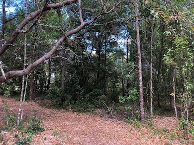 689 E Jenkins Ct, Hernando, FL 34442 - photo 6