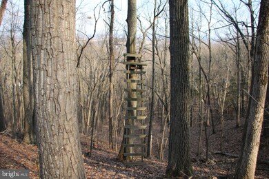 0 Greystone Dr unit VAWR142706, Front Royal, VA 22630 - photo 6