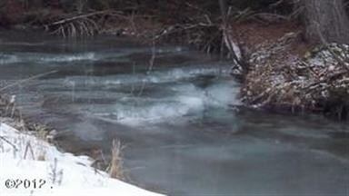 Piper Creek