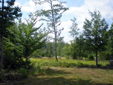 13 Farm Pond Ln unit Lot 13, Tuftonboro, NH 03816 - photo 4