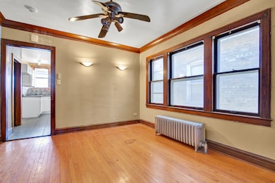 5233 W Nelson St, Chicago, IL 60641 - photo 5