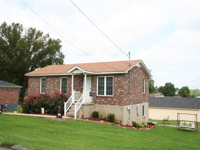 Renovated in 2008-2009. Vacant 50ft easement lot on the right. Easement to storage buildings in the back. property.