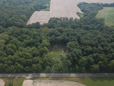 000 Beard Rd, Xenia, IL 62899 - photo 4