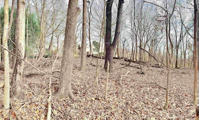 000 Chestnut Hill Dr, Ashland, KY 41101 - photo 2