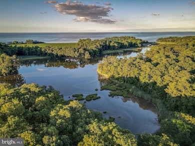 49465 Demko Rd, Lexington Park, MD 20653 - photo 2