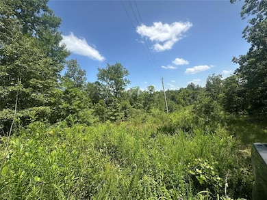 0 E Beachton Rd, Smithville, OK 74957 - photo 3