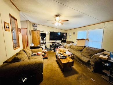 809 Leona St, Bristol, TN 37620 - photo 4