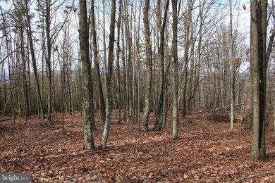 21.16 AC Ridge View Rd, Moorefield, WV 26836 - photo 7