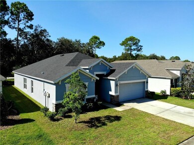34440 Blue Ash Ct, Wesley Chapel, FL 33545 - photo 2