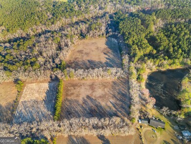 0 Maria Sorrell Rd unit 10480792, Statesboro, GA 30461 - photo 5