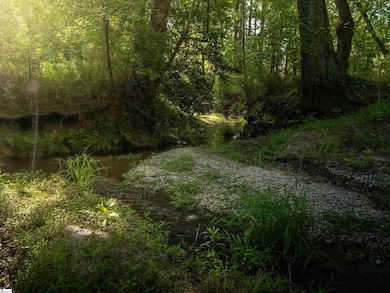 00 Holliday Dam Rd, Honea Path, SC 29654 - photo 3