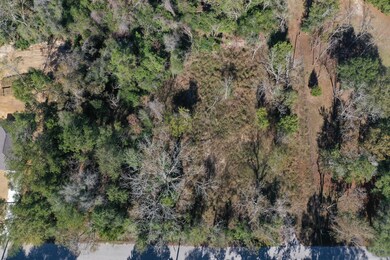 DJI_0361