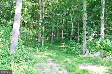 206 Christopher Rd, Warwick, MD 21912 - photo 2