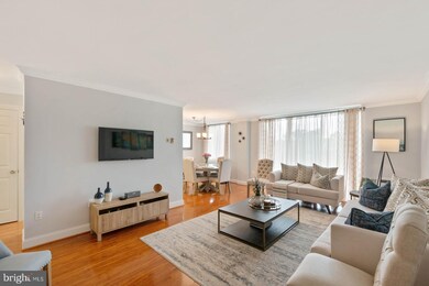 Barcroft Hills Condominium unit 603, Baileys Crossroads, VA 22041 - photo 5