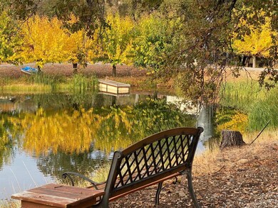 Fall Color at the Ponds