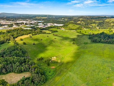 Tract 2 Shinbone Rd, Russellville, TN 37860 - photo 7