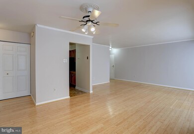 8877 Tamebird Ct unit E, Columbia, MD 21045 - photo 6