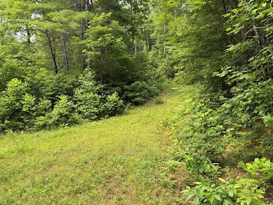 Lot 59 Garnet Rd, Sylva, NC 28779 - photo 7