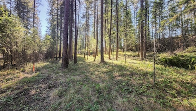 1505 Kootenai River Rd, Libby, MT 59923 - photo 6