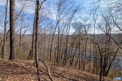 1280 Jones Overlook unit 53, Scottsville, VA 24562 - photo 6