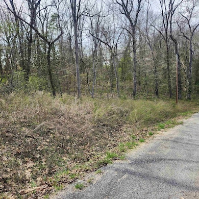 L-6, B-4 Tomahawk Dr, Cherokee Village, AR 72529 - photo 7