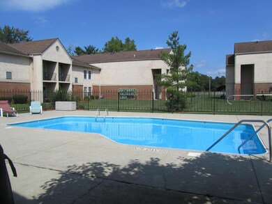 Pool and patio