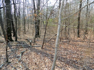 0 Stewart Ln unit 1261078, Rising Fawn, GA 30738 - photo 5