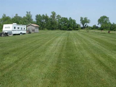 Yard/Garden BACK YARD