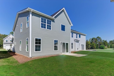 624 Thunder Gulch Ave, Lexington, SC 29073 - photo 2