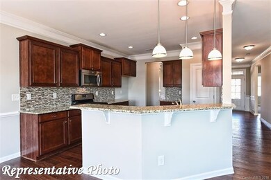 468 Snapdragon Dr unit LOT 278, Clover, SC 29710 - photo 5