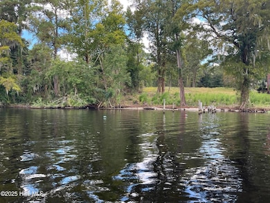 2321-B Chinquapin Rd, New Bern, NC 28562 - photo 2