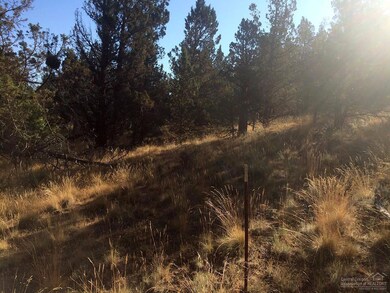 65541 Tweed Rd, Bend, OR 97703 - photo 5