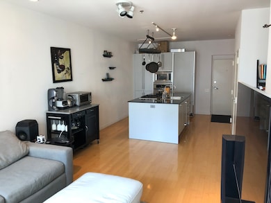 Kingsbury on the Park unit 1208, Chicago, IL 60654 - photo 5