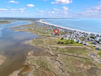 Marsh Aerial