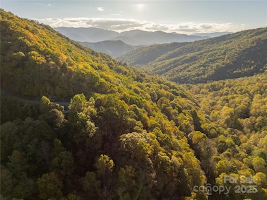 Lot 39 Brush Creek Mountain Rd unit 39, Bryson City, NC 28713 - photo 7