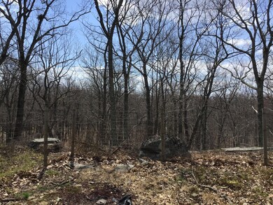 223 Maple Ridge Dr, Hawley, PA 18428 - photo 6