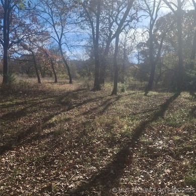 12834 N 68th West Ave, Skiatook, OK 74070 - photo 4