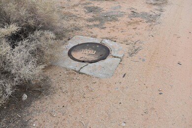 26197 20 Mule Team Rd, Boron, CA 93516 - photo 4