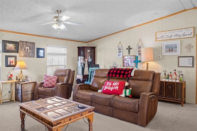 7041 NW County Road 2070, Barry, TX 75102 - photo 6