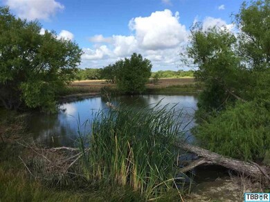 Hwy 317 Bell County Rural, Moody, TX 76557 - photo 2