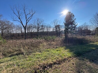 0 Columbia Hwy unit RTC3058032, Hohenwald, TN 38462 - photo 6