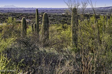 IMG_9999_249_edit