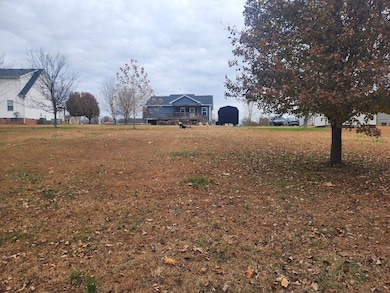 333 Blunt Ford Rd, Adolphus, KY 42120 - photo 4