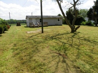 Full back yard view