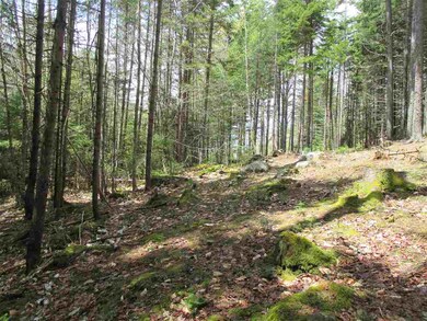 4 Golden Heights Rd unit 29.1, Waterville Valley, NH 03215 - photo 7