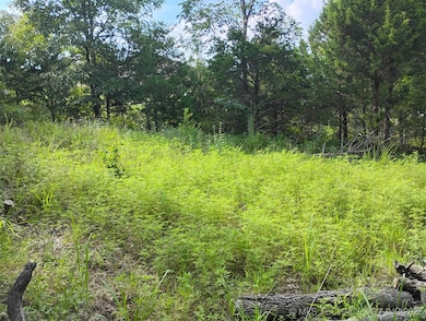 20 Juanita Dr, Prue, OK 74063 - photo 5