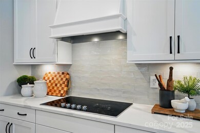 12119 Lavinia Ln, Charlotte, NC 28277 - photo 4