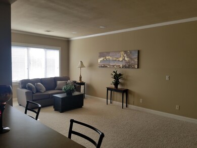 Opening Living Area