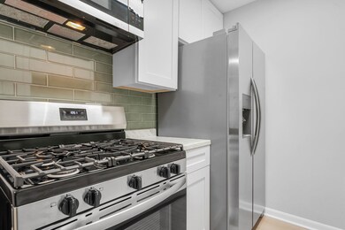 1195 Meadow Ln unit 213, Hoffman Estates, IL 60169 - photo 3