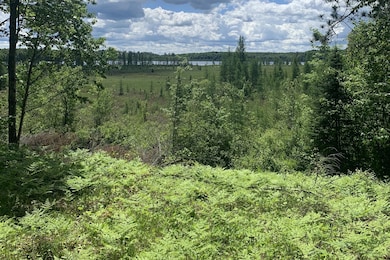 1899 Amik Lake Ln, Lac Du Flambu, WI 54538 - photo 2